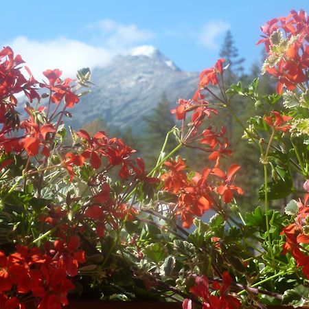 Erika penzión Vysoké Tatry Kültér fotó