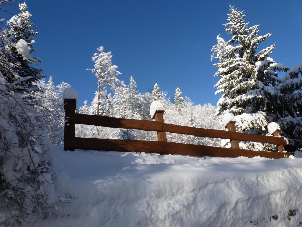 Erika penzión Vysoké Tatry Kültér fotó