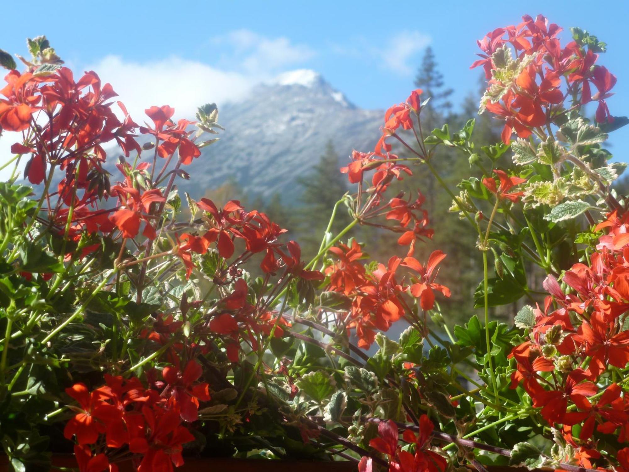 Erika penzión Vysoké Tatry Kültér fotó